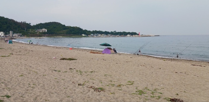 *해변에서 낚시*